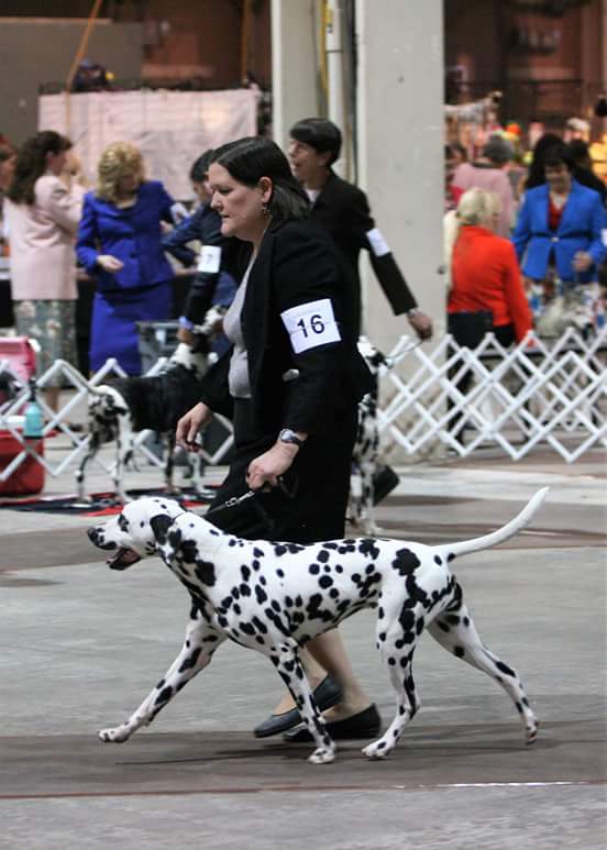 Shimmer moving in the ring.