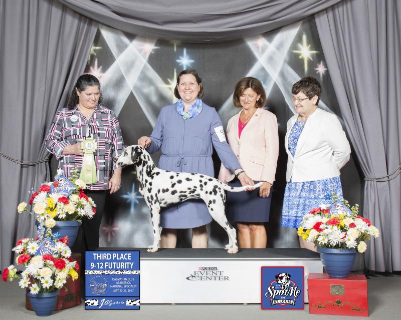 McDottie Star Light Star Bright at DCA National 2017