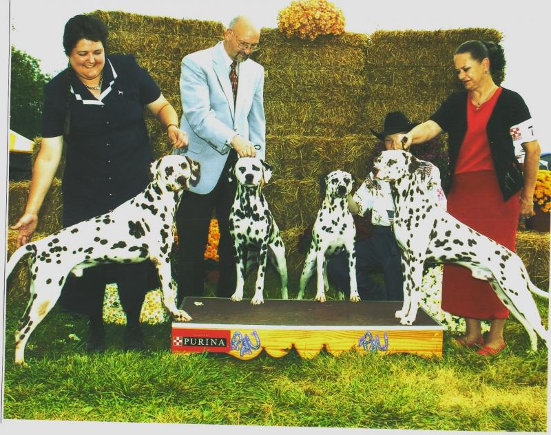 Scout, Rocky, Confetti, and Gabriel